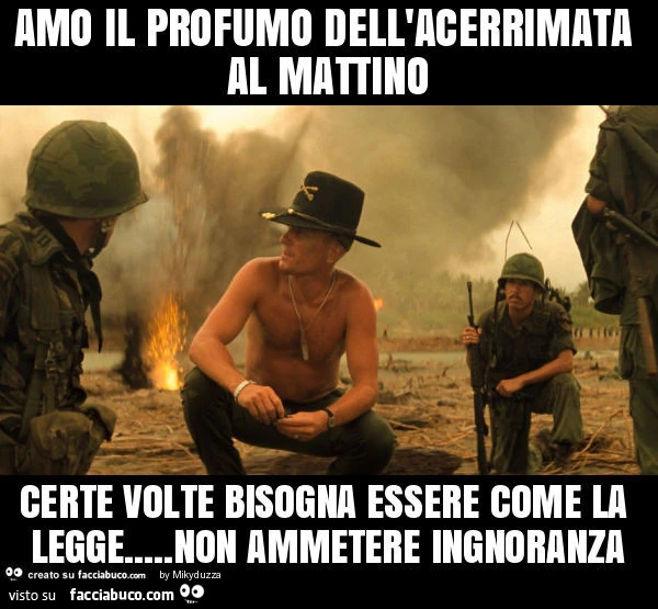 Amo il profumo dell'acerrimata al mattino certe volte bisogna essere come la legge&hellip; non ammetere ingnoranza