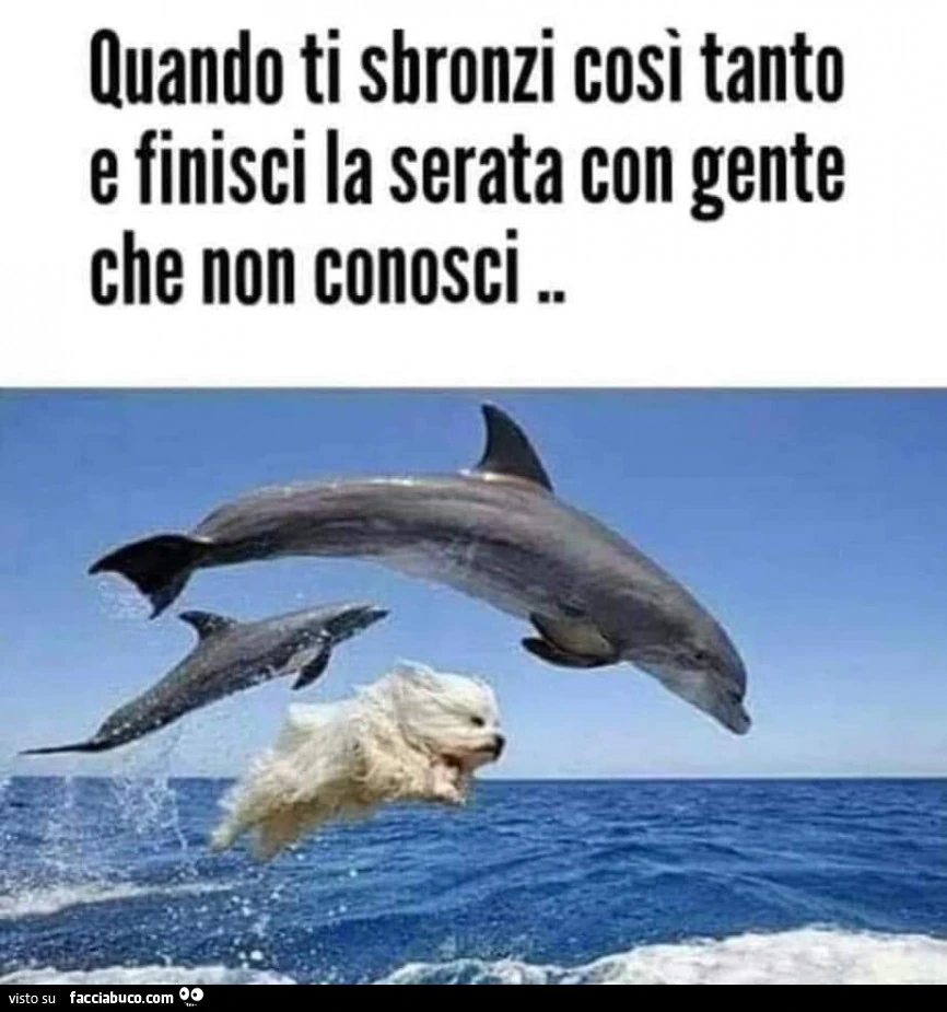 Sbronza