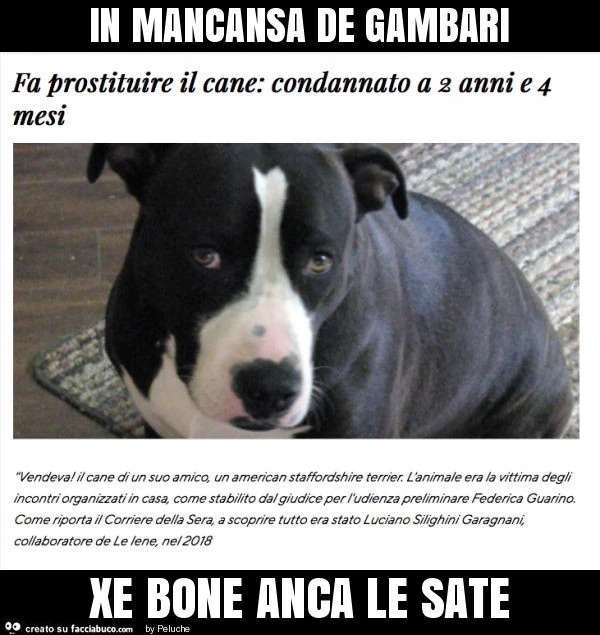 In mancansa de gambari xe bone anca le sate