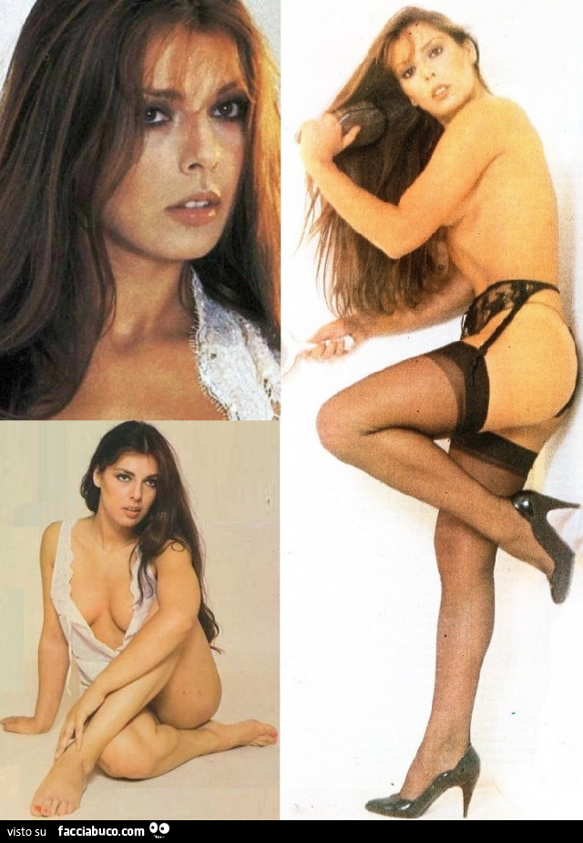 TIMELESS DIVAS