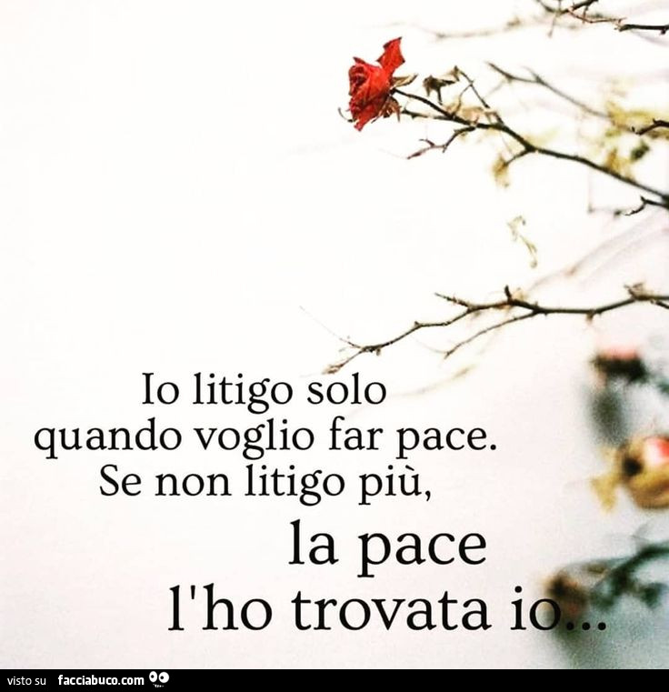 Io litigo solo quando voglio far pace. Se non litigo più, la pace l'ho trovata io