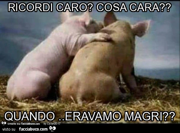 Ricordi caro? Cosa cara? Quando. Eravamo magri?