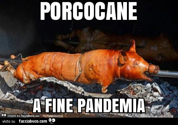 Porcocane a fine pandemia