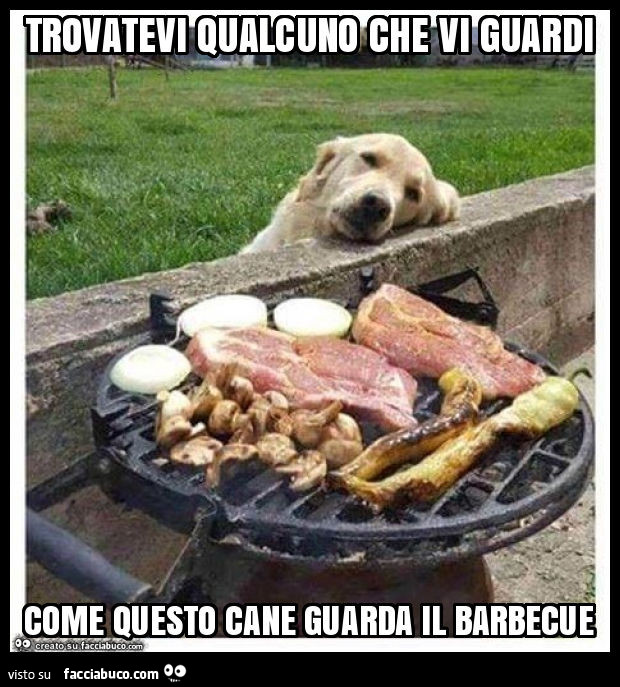 Trovatevi qualcuno che vi guardi come questo cane guarda il barbecue