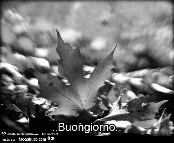 Buongiorno