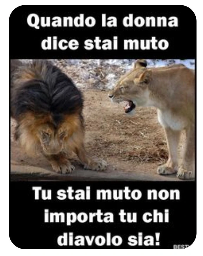 Quando la donna dice