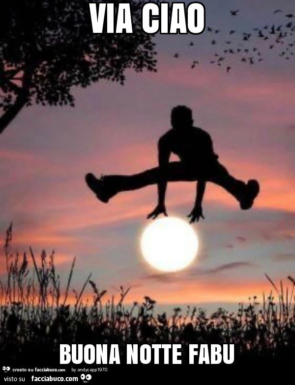 Via ciao buona notte fabu