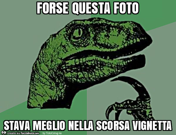 Forse questa foto stava meglio nella scorsa vignetta