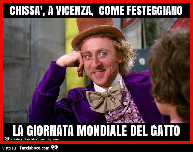 Chissà, a vicenza, come festeggiano la giornata mondiale del gatto