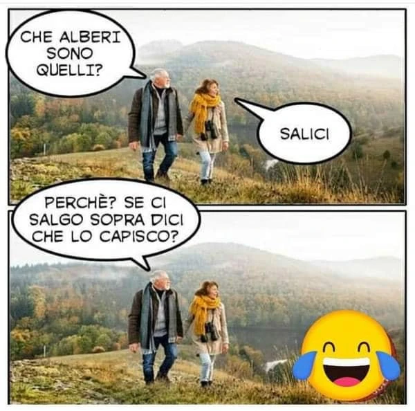 Barzellette