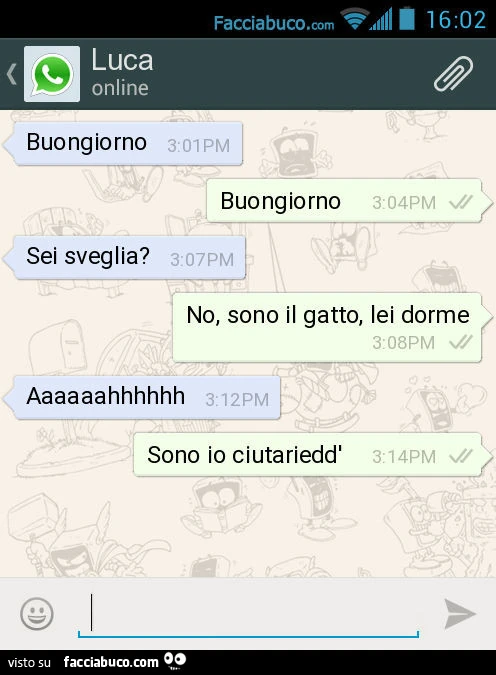 Buongiorno. Buongiorno. Sei sveglia? No, sono il gatto, lei dorme. Aaaaaahhhhhh. Sono io ciutariedd