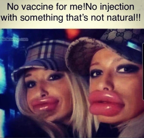 Vaccata
