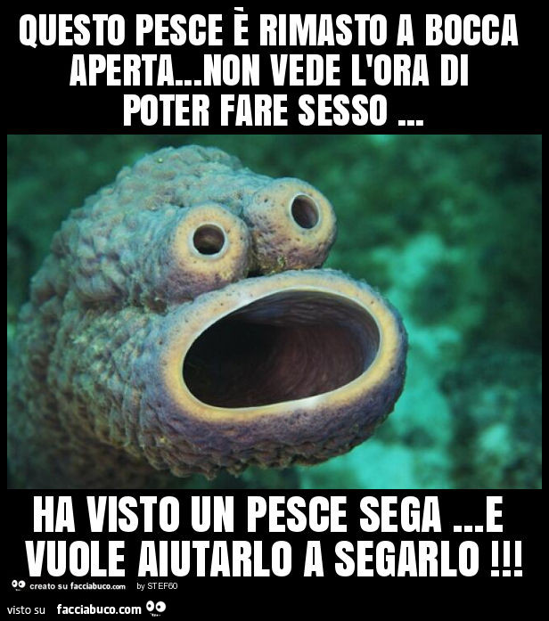 Questo pesce è rimasto a bocca aperta… non vede l'ora di poter fare sesso… ha visto un pesce sega… e vuole aiutarlo a segarlo