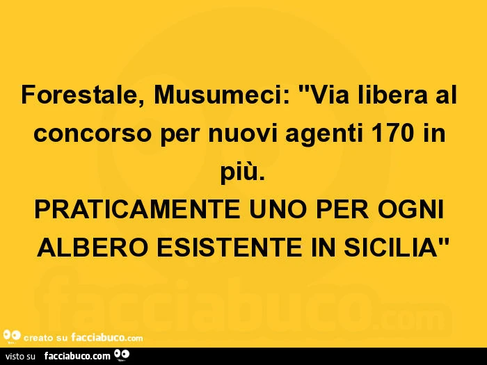Forestale, musumeci: via libera al concorso per nuovi agenti 170 in più. Praticamente uno per ogni albero esistente in sicilia