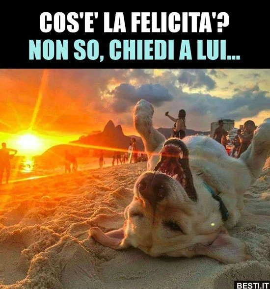 Buongiorno