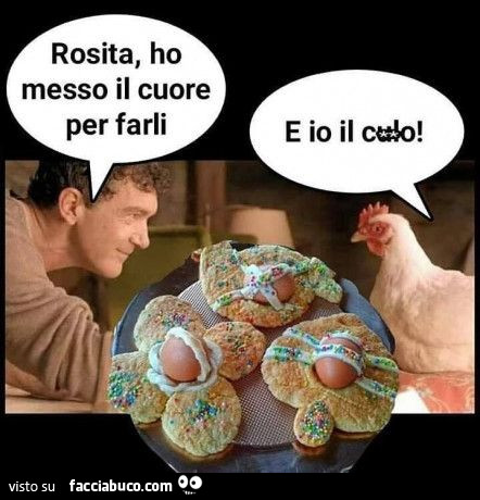 Vaccata