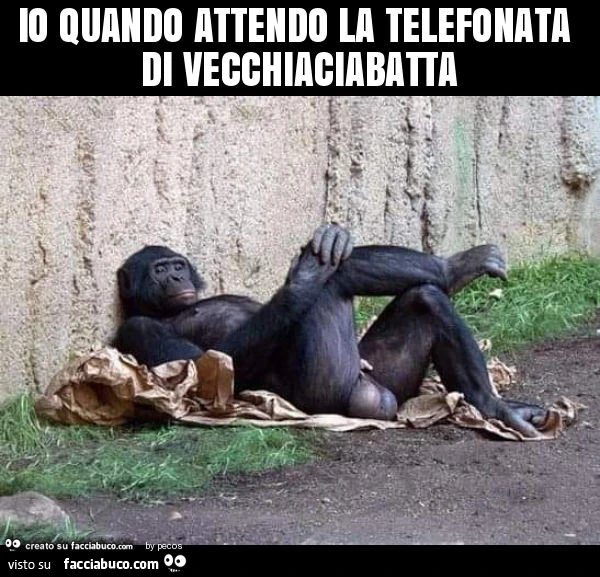 Io quando attendo la telefonata di vecchiaciabatta