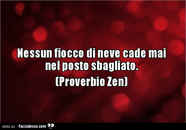 Nessun fiocco di neve cade mai nel posto sbagliato. Proverbio Zen