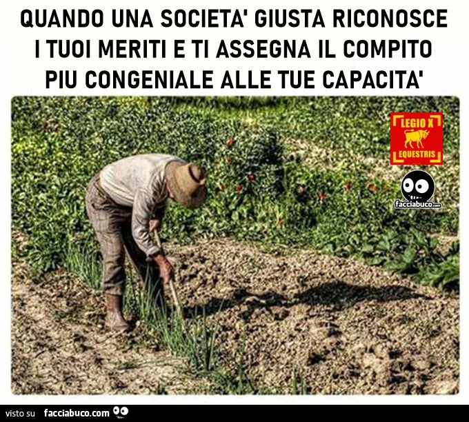 Quando vengono riconosciuti i tuoi meriti e ti viene assegnato il compito giusto per le tue capacità