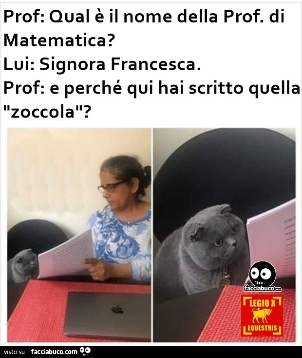 Perché hai scritto quella zoccola?