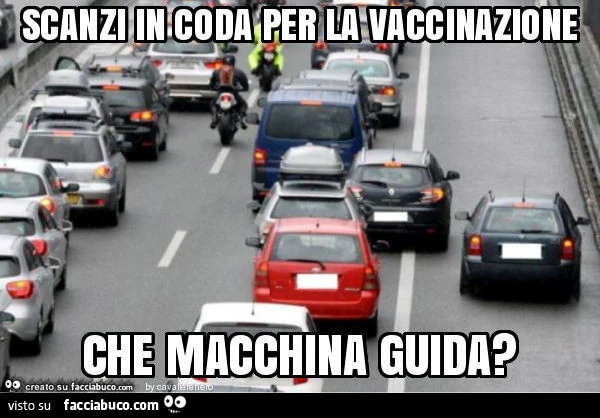 Vaccata