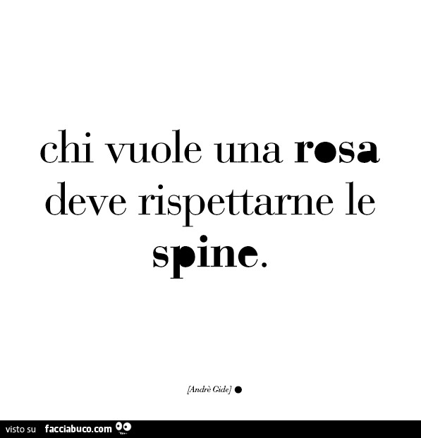 Chi vuole una rosa deve rispettarne le spine