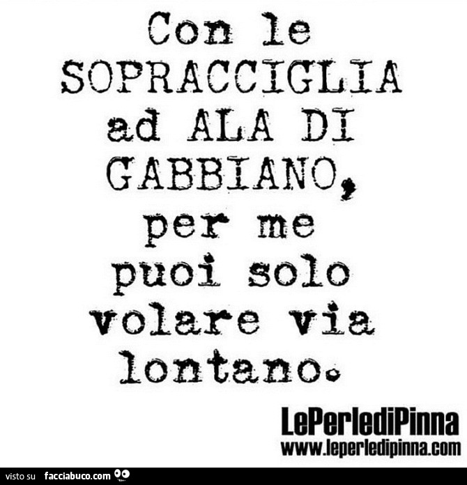 Con le sopracciglia ad ala gabbiano, per me puoi solo volare via lontano