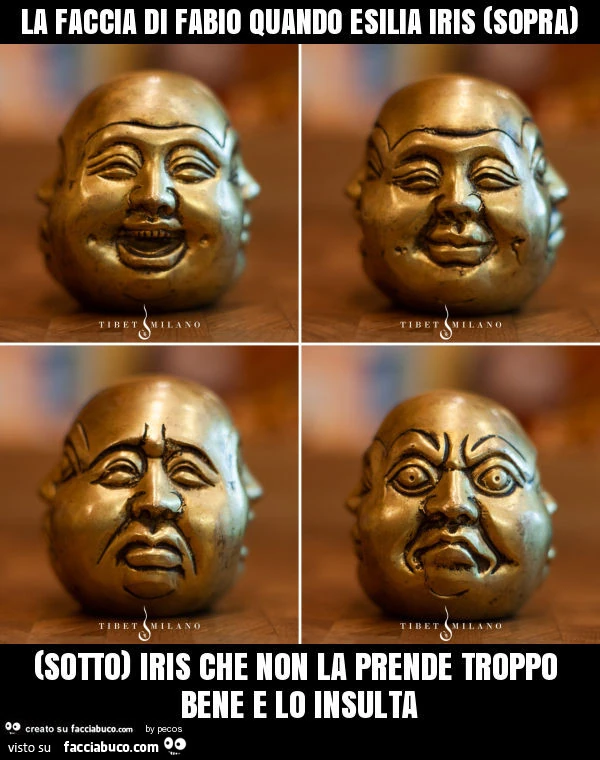 La faccia di fabio quando esilia iris (sopra) (sotto) iris che non la prende troppo bene e lo insulta