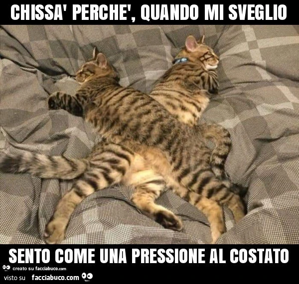 Chissà perchè, quando mi sveglio sento come una pressione al costato