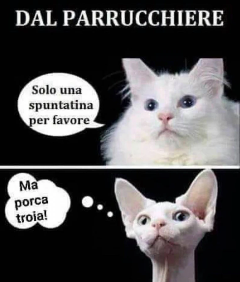 Vaccata