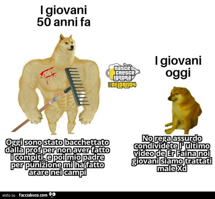 Vaccata