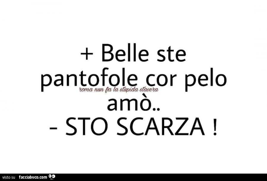 Belle ste pantofole cor pelo. Amò. Sto scarza