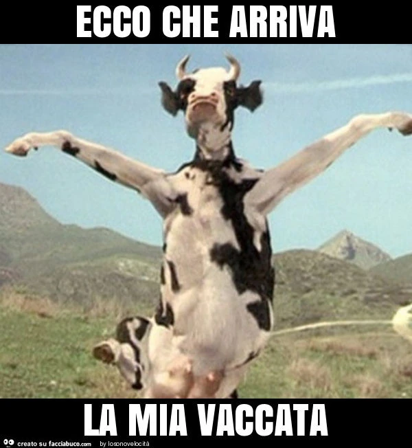 Ecco che arriva la mia vaccata