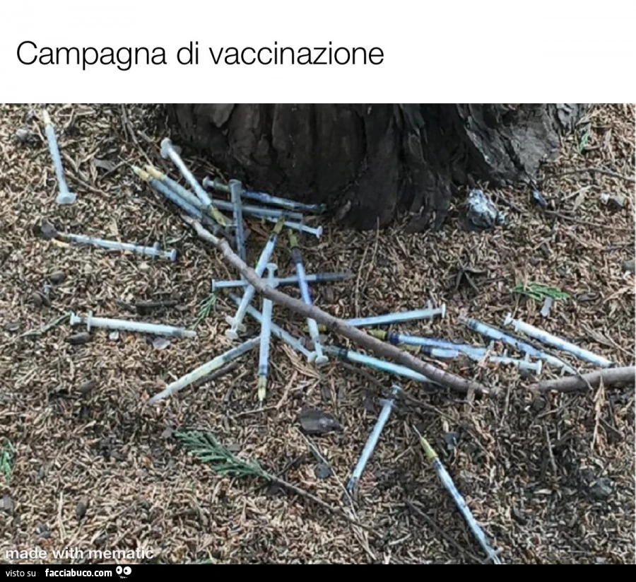 Vaccata