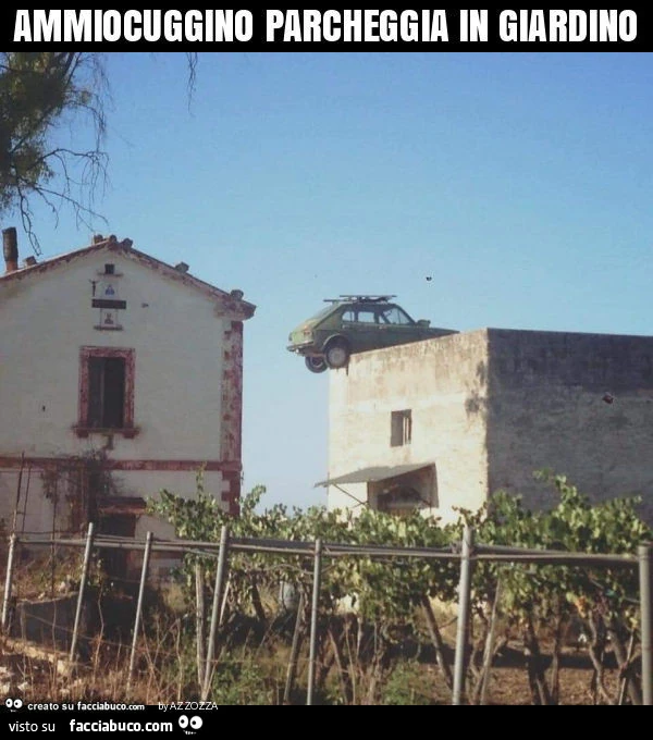 Ammiocuggino parcheggia in giardino