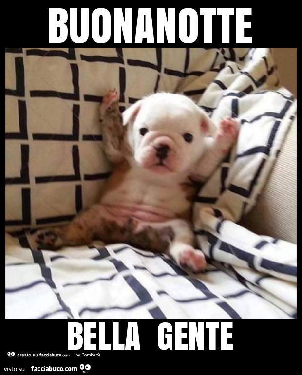 Buonanotte bella gente