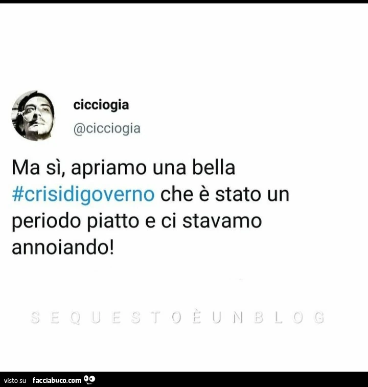 Ma sì, apriamo una bella crisi di governo che è stato un periodo piatto e ci stavamo annoiando