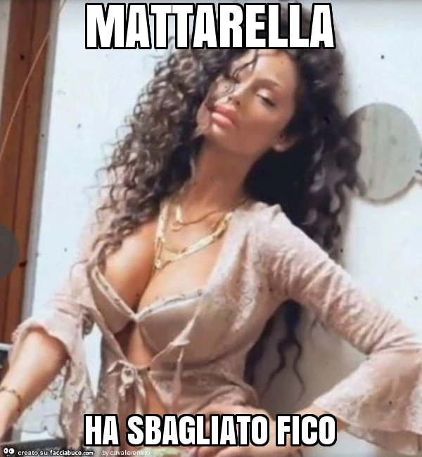 Mattarella ha sbagliato fico