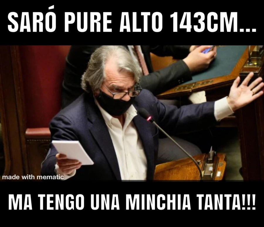 Minchia tanta brunetta