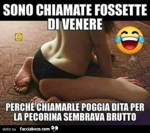 Sono chiamate fossette di venere perché chiamarle poggia dita per la pecorina sembrava brutto