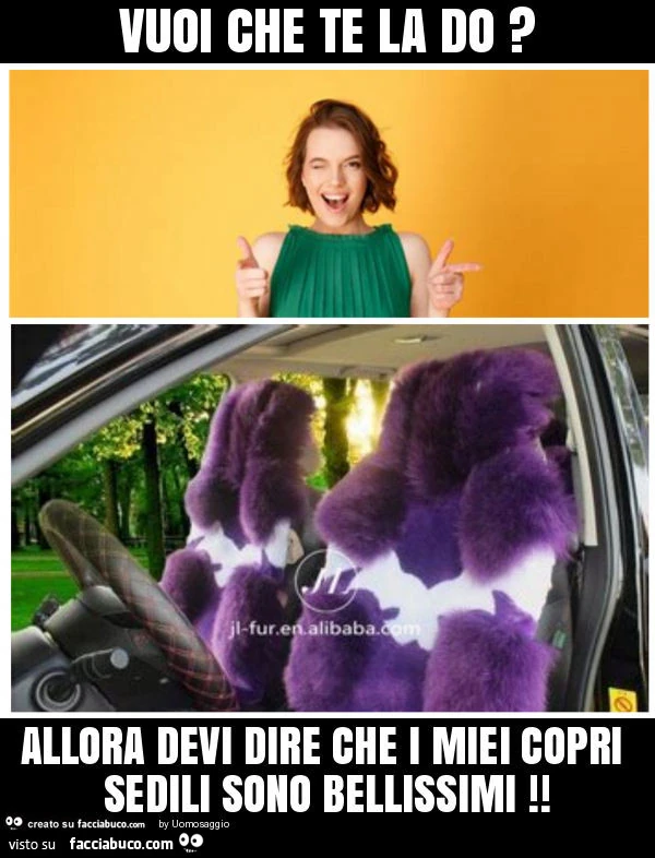 Vuoi che te la do? Allora devi dire che i miei copri sedili sono bellissimi