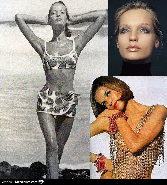 TIMELESS DIVAS