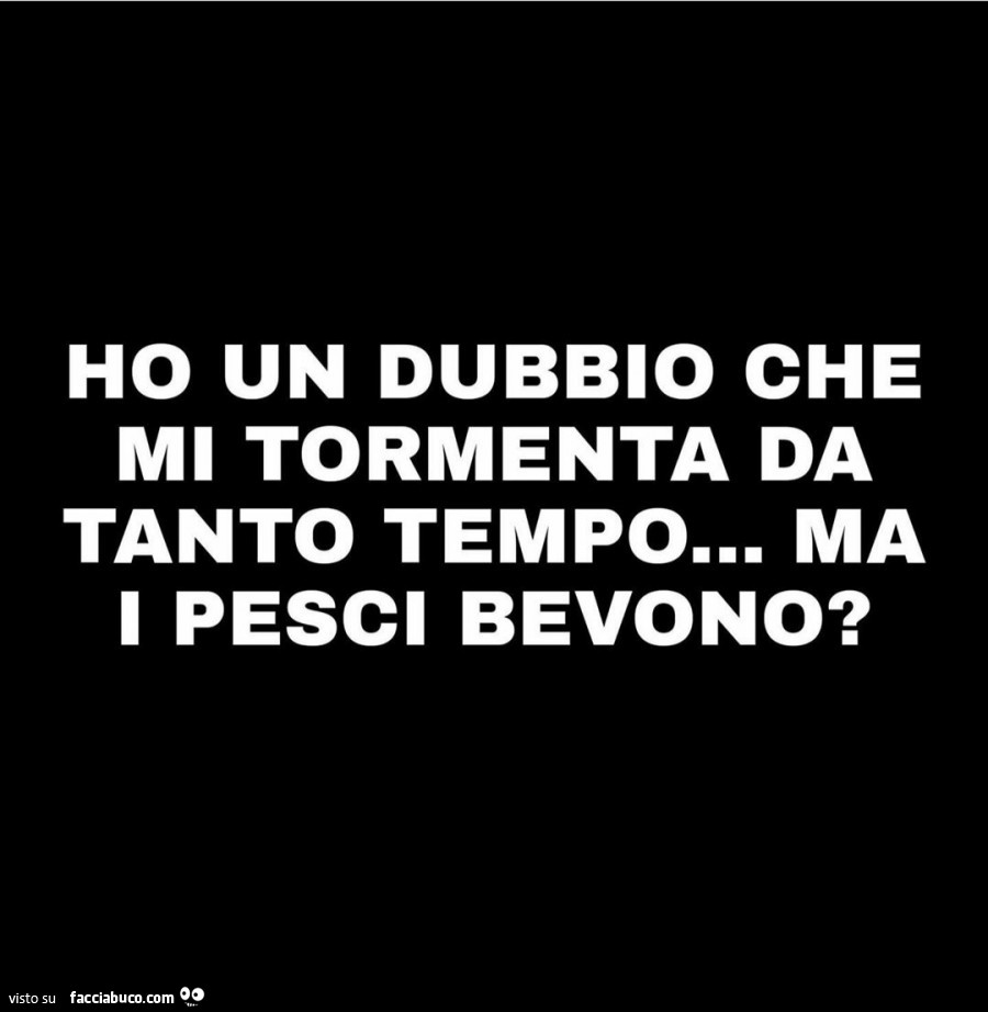 Ho un dubbio che mi tormenta da tanto tempo… ma pesci bevono?