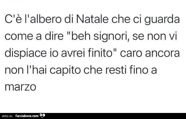 C'è l'albero di natale che ci guarda come a dire beh signori, se non vi dispiace io avrei finito caro ancora non l'hai capito che resti fino a marzo