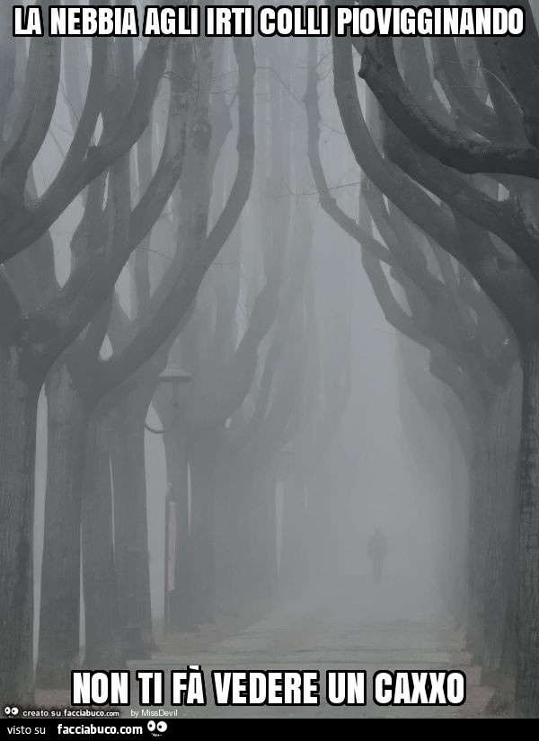 La nebbia agli irti colli piovigginando non ti fà vedere un caxxo