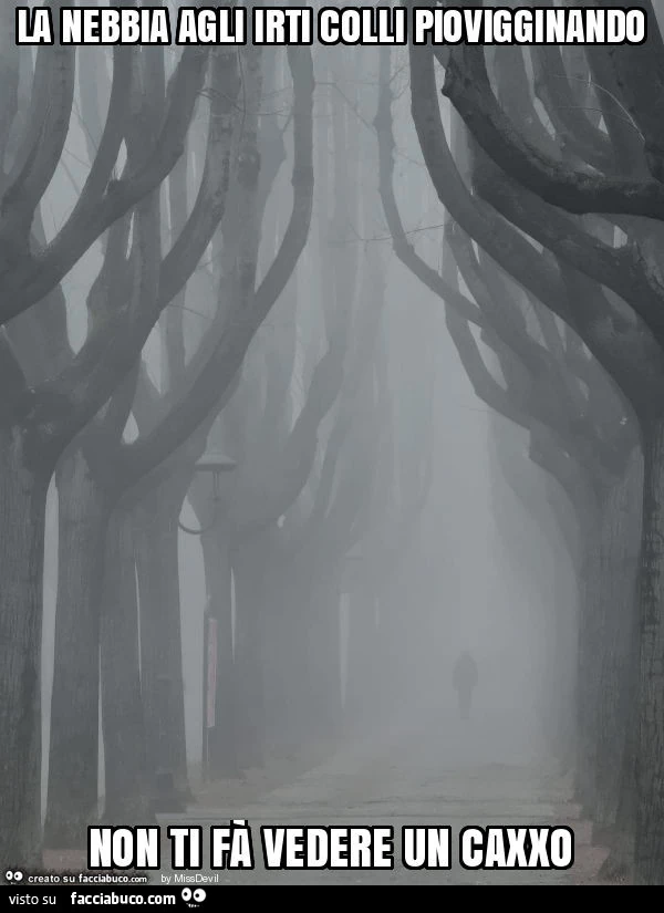La nebbia agli irti colli piovigginando non ti fà vedere un caxxo