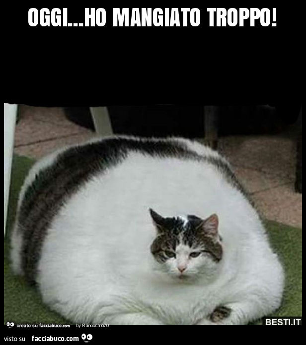 Oggi… ho mangiato troppo