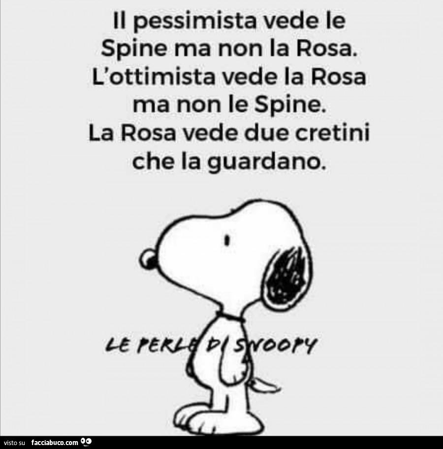 Il pessimista vede le spine ma non la rosa. L'ottimista vede la rosa ma non le spine. La rosa vede due cretini che la guardano