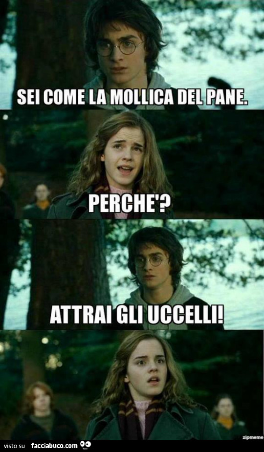 Attrai gli uccelli