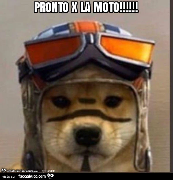 Pronto x la moto